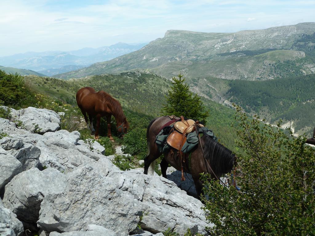 Gite Des Monges Sisteron Buitenkant foto