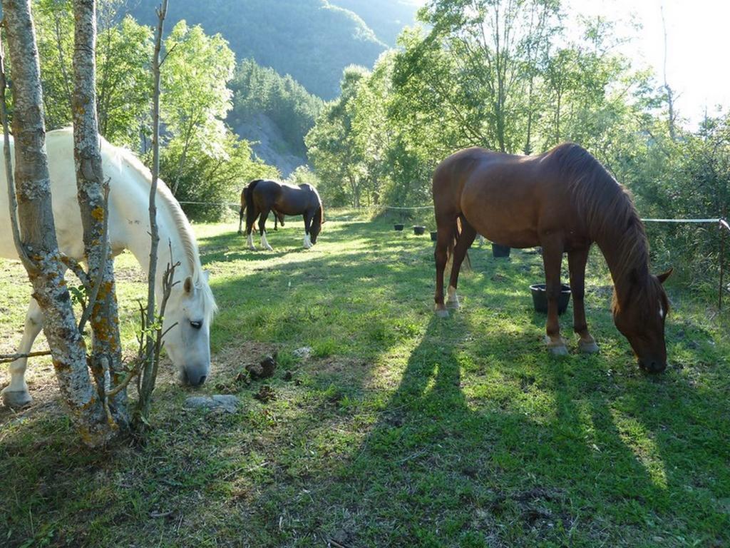 Gite Des Monges Sisteron Buitenkant foto